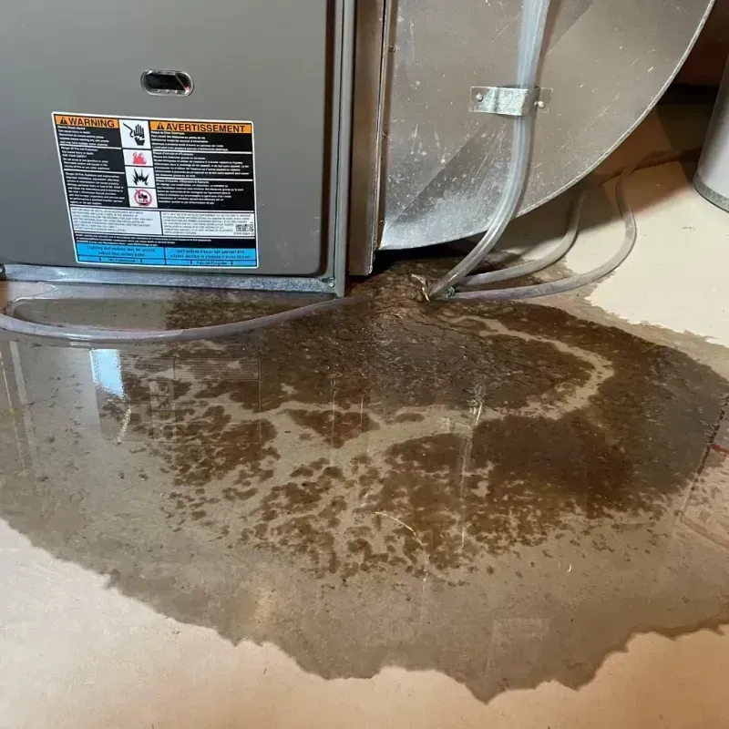 Appliance Leak Cleanup in Mayo, MD